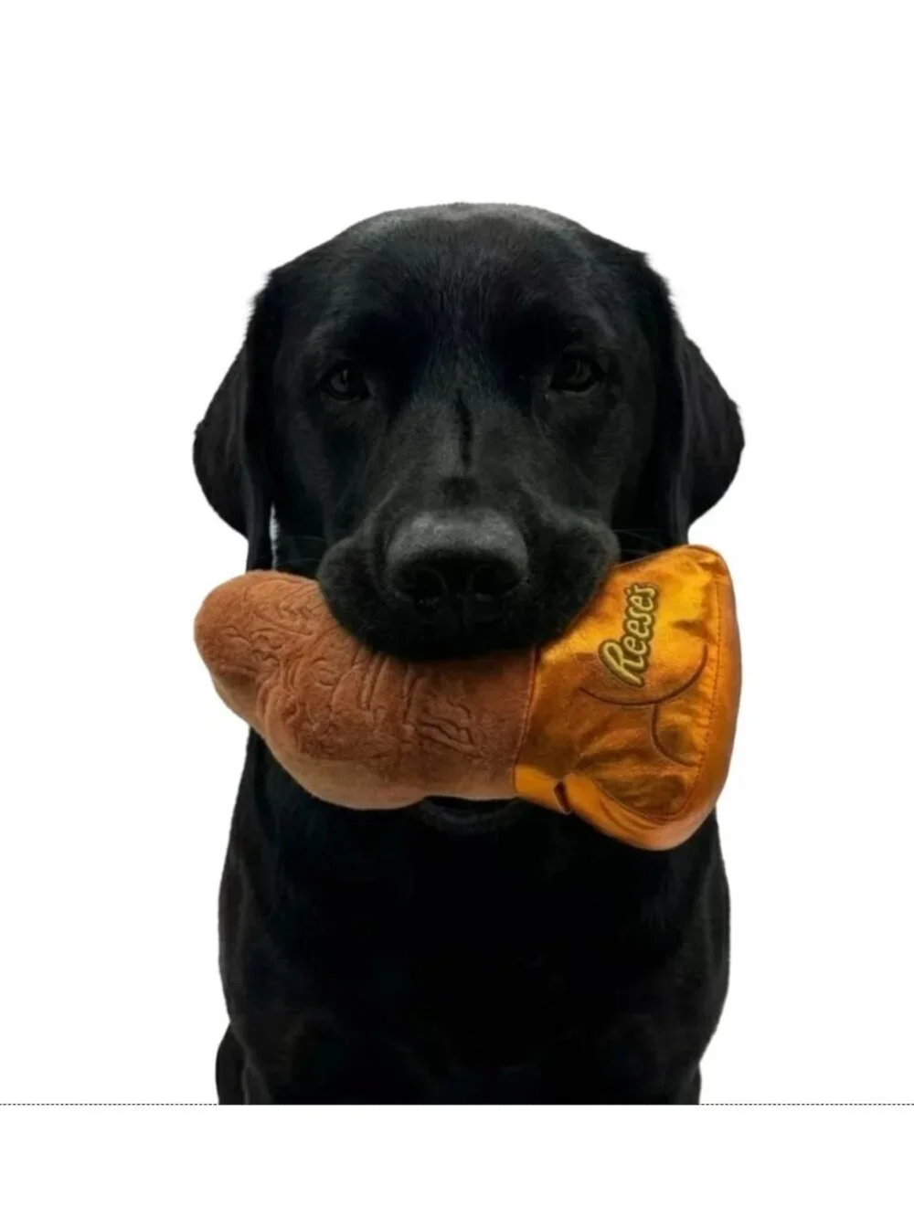 HERSHEY'S Reese's Easter Chocolate Bunny Plush Dog Toy Squeaker NWT